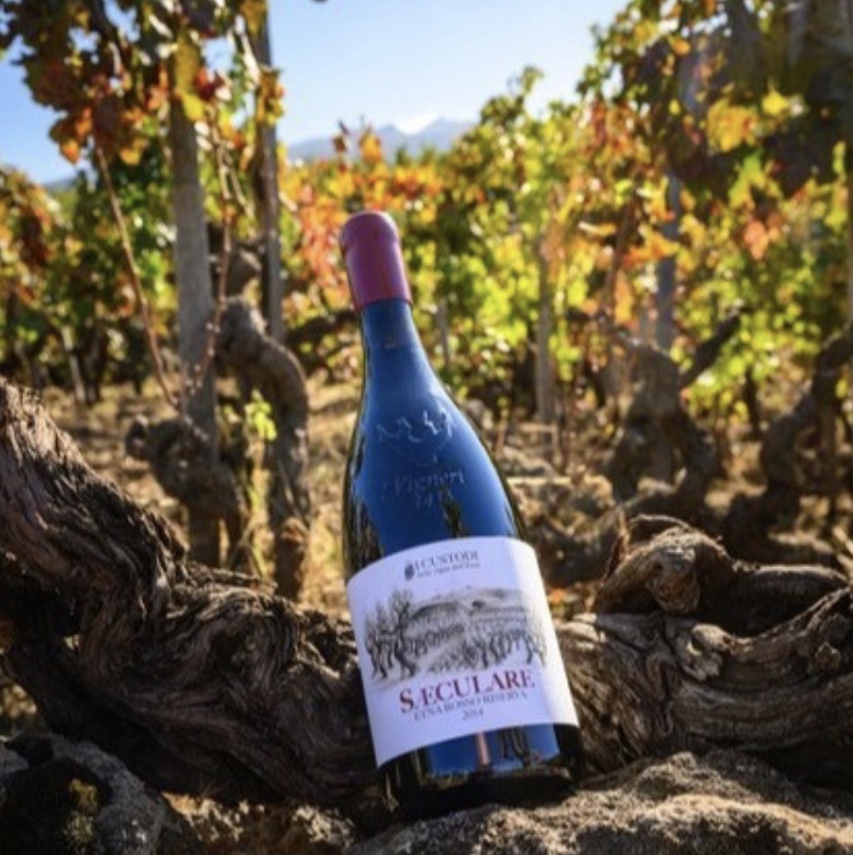 Franco’s – Wines of Mount Etna